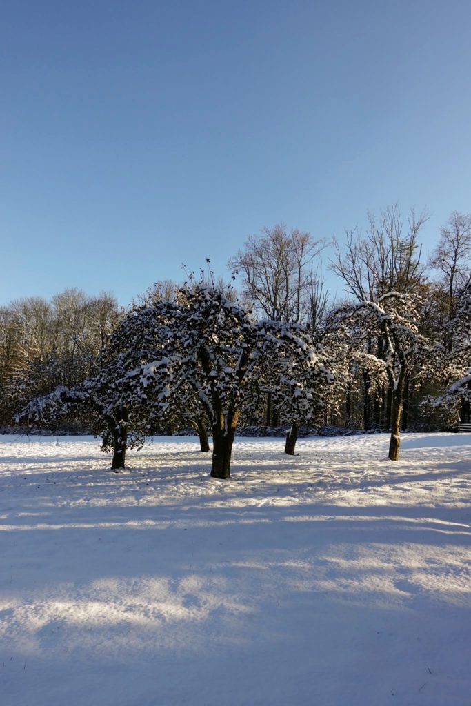 The First Snowfall of the Season at the Farm - The Martha Stewart Blog