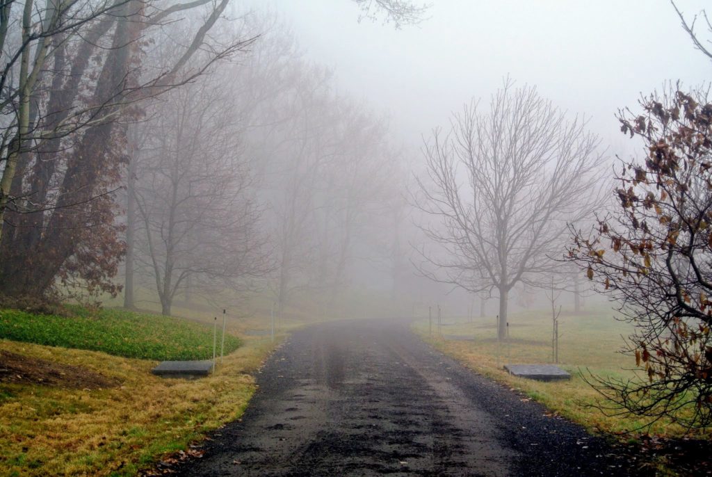 early-morning-fog-at-the-farm-the-martha-stewart-blog