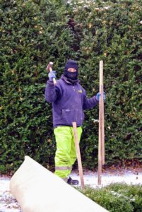 Chhewang is behind the Summer House working on our giant "burlapping" project - it's a rush to get all the boxwood covered! It's already snowed here three times this week.