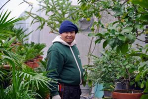 Wilmer is busy in the citrus greenhouse checking all the plants and cleaning them up for visitors who want to see my large tropical collection.