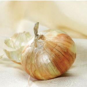 This is a very popular, mild yellow variety from Walla Walla, Washington. It is not as big or sweet, but still milder and juicier than other onions. (Photo from Johnny's Selected Seeds)