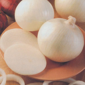 These onions are large, white-skinned onions with mild flavor and thick rings. They are great for salads, slices, onion rings, and frying. (Photo from Johnny's Selected Seeds)