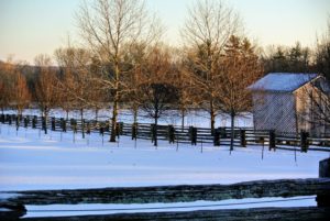 Once again, the farm is covered with a new layer of glistening snow - everything looks so pretty. The forecast calls for another dusting of white powder this afternoon.
