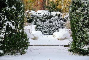 This is the entrance into the boxwood enclosed garden behind my Summer House. This American boxwood is protected with plastic netting, keeping branches from splaying under the fallen snow. The smaller English boxwood is covered in burlap.