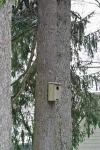I wonder if any small creatures have taken refuge in this nesting box.