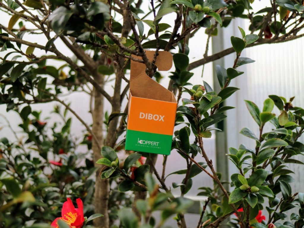 Using Beneficial Insects from Koppert Biological Systems The Martha