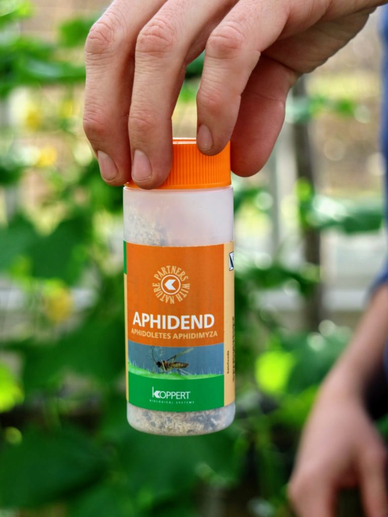 Using Beneficial Insects from Koppert Biological Systems The Martha