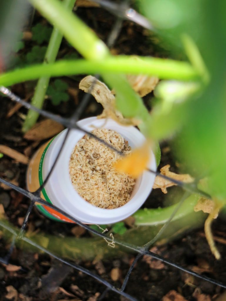 Using Beneficial Insects from Koppert Biological Systems The Martha