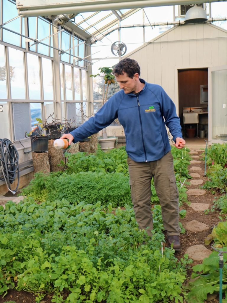 Using Beneficial Insects from Koppert Biological Systems The Martha