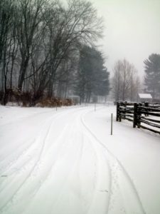 The carriage roads look so pretty unplowed. My farm is a wonderful place for cross-country skiing.