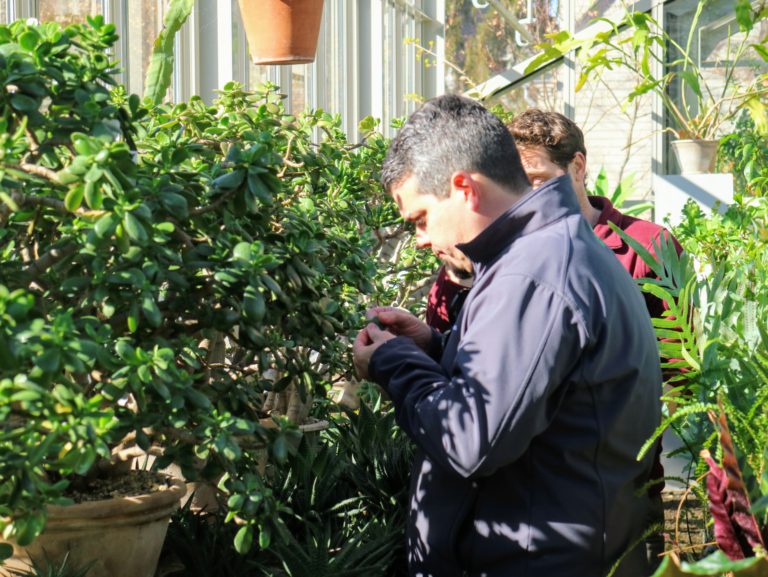 Using Beneficial Insects from Koppert Biological Systems The Martha