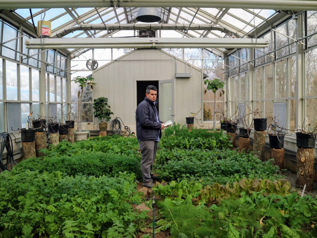 Using Beneficial Insects from Koppert Biological Systems The Martha