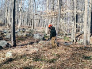 In another area, Chhiring weed whacks more barberry. There are many brambles, weeds, vines, and useless seedlings growing in all the woods. These must be whacked down so there is room to plant and cultivate seedling trees that will be beneficial in the woodland.