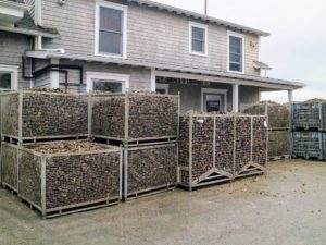 Here is where the oysters are stored as they wait to be packaged for delivery, or brought into another room for shucking.