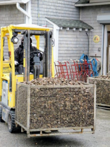 Oysters must always remain cold - below 40-degrees Fahrenheit. During winter, this is not a challenge, but in the summer months, oysters are kept in enclosed bins filled with ice made right at the boatyard.