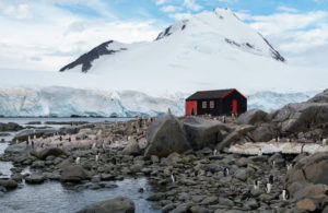 This is Wiencke Island, the southernmost of the major islands of the Palmer Archipelago, lying between Anvers Island to its north and the west coast of the Antarctic Peninsula. The small base station is used as a shelter for those who get stranded in the area.