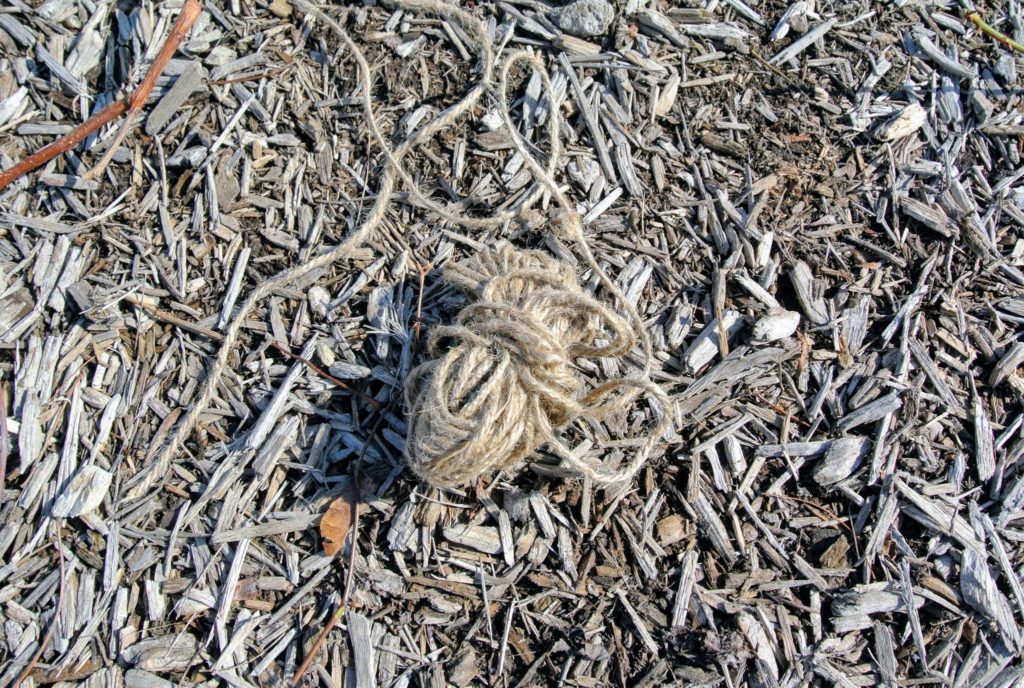 what to use to tie climbing roses