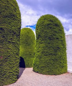 The cemetery is meticulously maintained. We saw a number of immaculately trimmed giant European cypress trees, Cupressus sempervirens, such as these. They lined the entrance and aisles of the graveyard.
