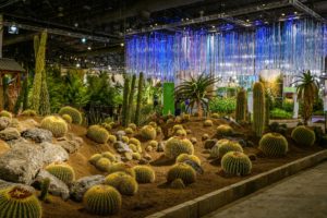 This exhibit showcases xeriscaping, or s style of landscape design featuring little to no water. (Photo by Rob Cardillo for PHS)