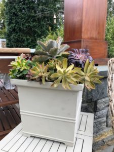 Here is the 12-inch square version planted with a selection of succulents. Each planter has holes in the insert for soil aeration and drainage.