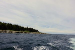We headed toward the Duck Islands. Little Duck Island is about 90-acres in size and filled with maritime spruce-fir forests, rock outcrops, and rock jumbles.