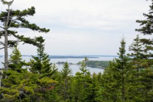 Here is a view that never gets tiring. It’s from the terrace overlooking Seal Harbor and Sutton’s Island in the distance. It was a perfect day for planting at Skylands. Tomorrow, I will share more photos from our holiday weekend in Maine.