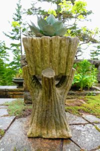 I planted another agave in this beautiful faux bois planter. This planter is extremely heavy - about four to five hundred pounds.