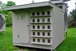 This is one of two pigeon coops at my farm. We often use this one for newly hatched chickens, peacocks or turkeys until they are big enough to join the flock.