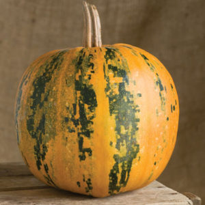 'Kakai' is an eye-catching, medium to small, black-striped pumpkin. After displaying the pumpkins in the fall, it's nice to scoop out the large, dark-green, hull-less seeds - they're delicious roasted. (Photo from Johnny's Selected Seeds)