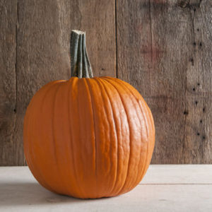 And 'Tom Fox' was developed by New Hampshire farmer, Tom Fox. The well-ribbed, medium large pumpkins have a deep orange color and good handles: fat, long, dark green, and strong.