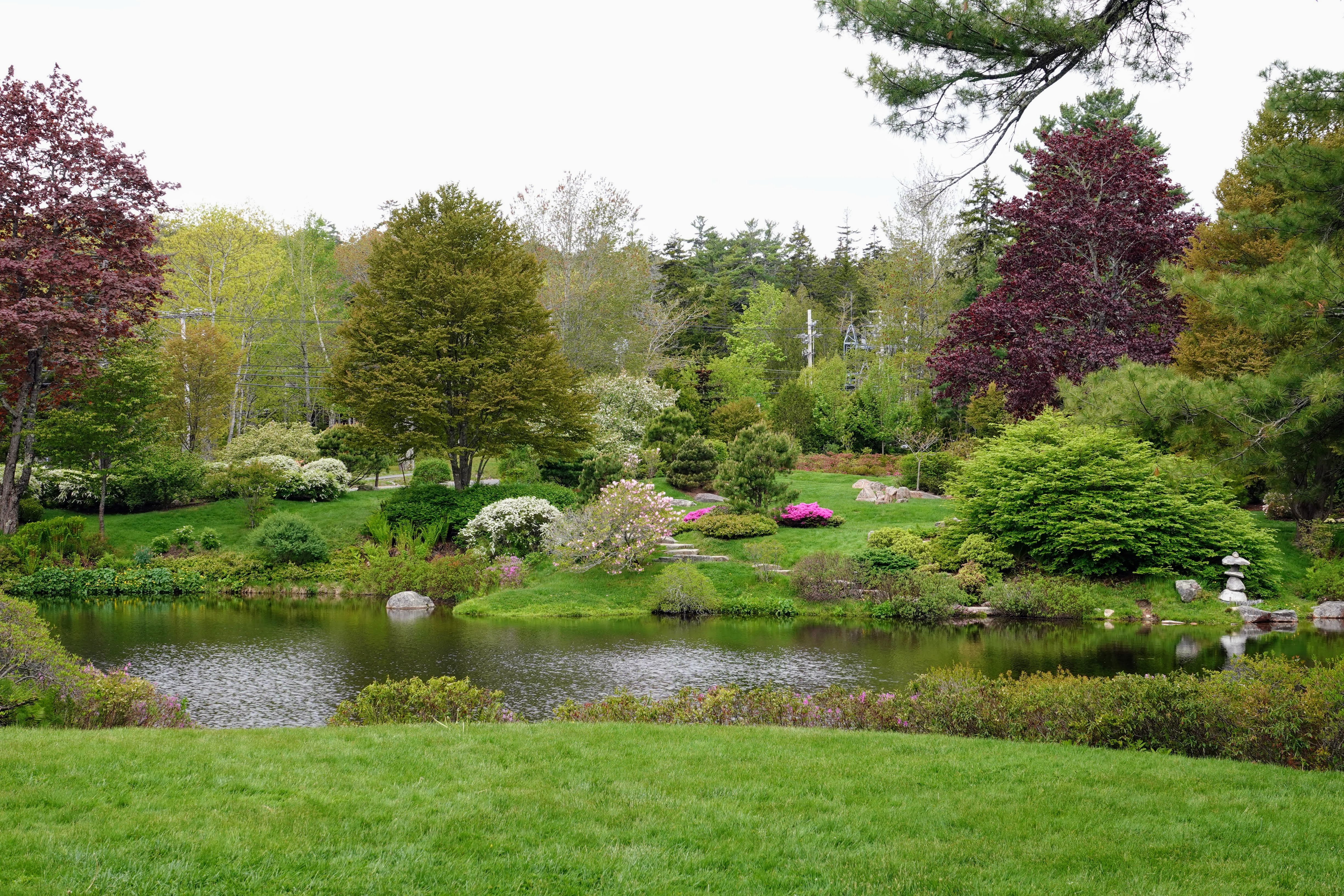 The Martha Stewart Blog Blog Archive Asticou Azalea Garden