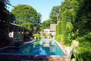 The swimming pool in the backyard at Lily Pond is adorned with aqua glazed strawberry pots which are planted with many different succulents, colocasia and rhapsis, the broadleaf "Lady Palm". The tall shrubs are European hornbeam. The smaller shrubs are boxwood.