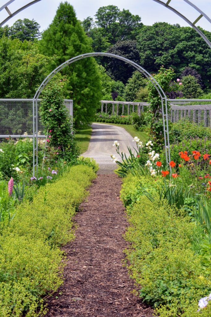 Early June Flowers in the Cutting Garden - The Martha Stewart Blog