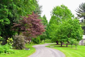 Here is a photo of the carriage road leading to the chicken coops and vegetable gardens. I love how all the trees are leafed out, creating layers of color in the landscape.