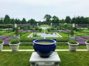 This is a stunning view from the raised pergola at one end of the Blue Garden pool. The desire was to create a a monochromatic palette of purples and blues in this space.