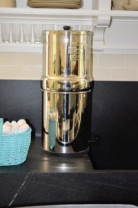 Another Berkey System was placed in my Tenant House which is where my daughter, Alexis, and her children, Jude and Truman, stay when they visit - they are all big water drinkers and plastic-free.