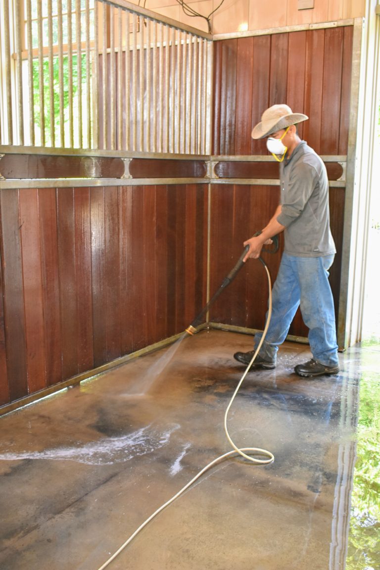 My Stable Gets a Thorough Cleaning The Martha Stewart Blog