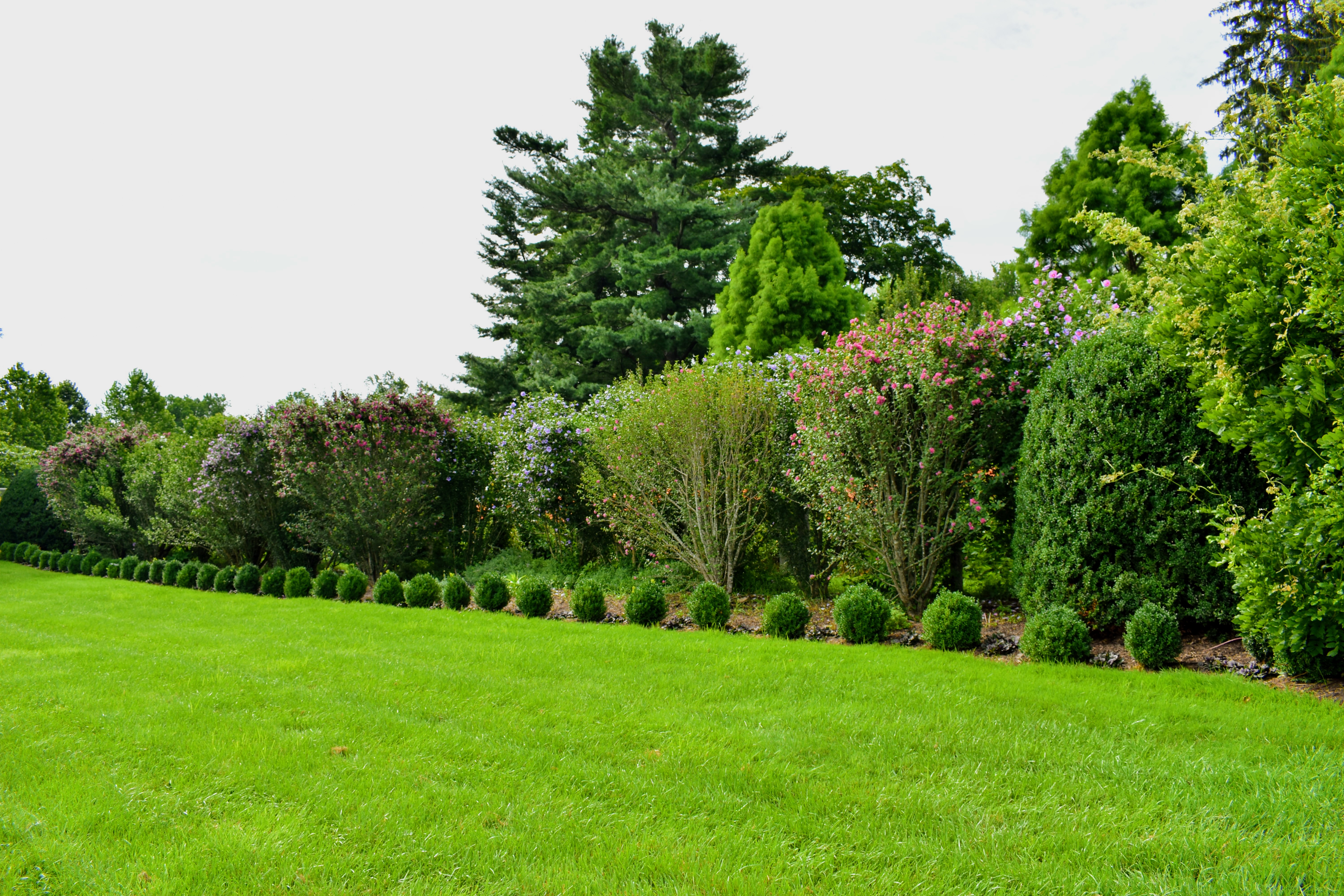 Round Boxwood Hedges In The Garden Charm Home Design