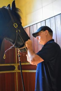And here is Brian, the equine dentist, with Meindert. The key to working with horses is to gain their trust, which in turn helps them relax. Brian spends a few minutes just talking to each horse before he begins his exam.