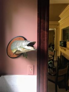 I have hung all types of old mounts of stuffed fish on the walls. Kevin also took a photo of this fish in the butler's pantry.