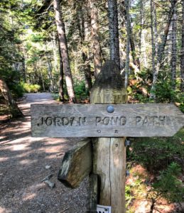 I always hike as much as possible when I am in Maine. On this day, we took a walk around Jordan Pond. The pond covers 187-acres, with a maximum depth of 150-feet and a shoreline of 3.6 miles. It is a good walk for both humans and dogs.