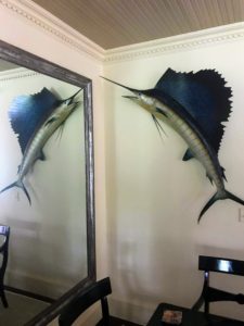 I have never had any animals mounted, but I greatly appreciate the time and patience it takes to complete one of these pieces. This is a sailfish taxidermy.