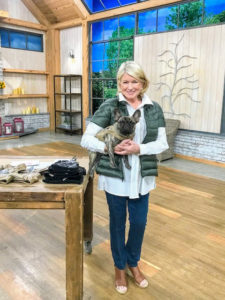 These fun vests come in tan and black, in a variety of sizes for your dog - they are so cute. It was a full and very successful day at QVC. Look for my items on their web site at QVC.com and always follow my Twitter page @MarthaStewart to find out my future QVC appearance dates.