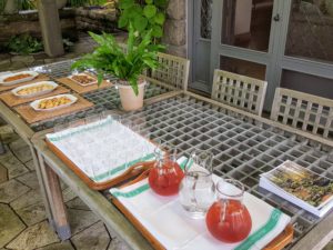 All my garden tours conclude with refreshments. Here on the West Terrace, guests are served refreshing iced-tea, homemade cookies and a brief overview of the property along with various photos and information on the work of landscape architect, Jens Jensen.