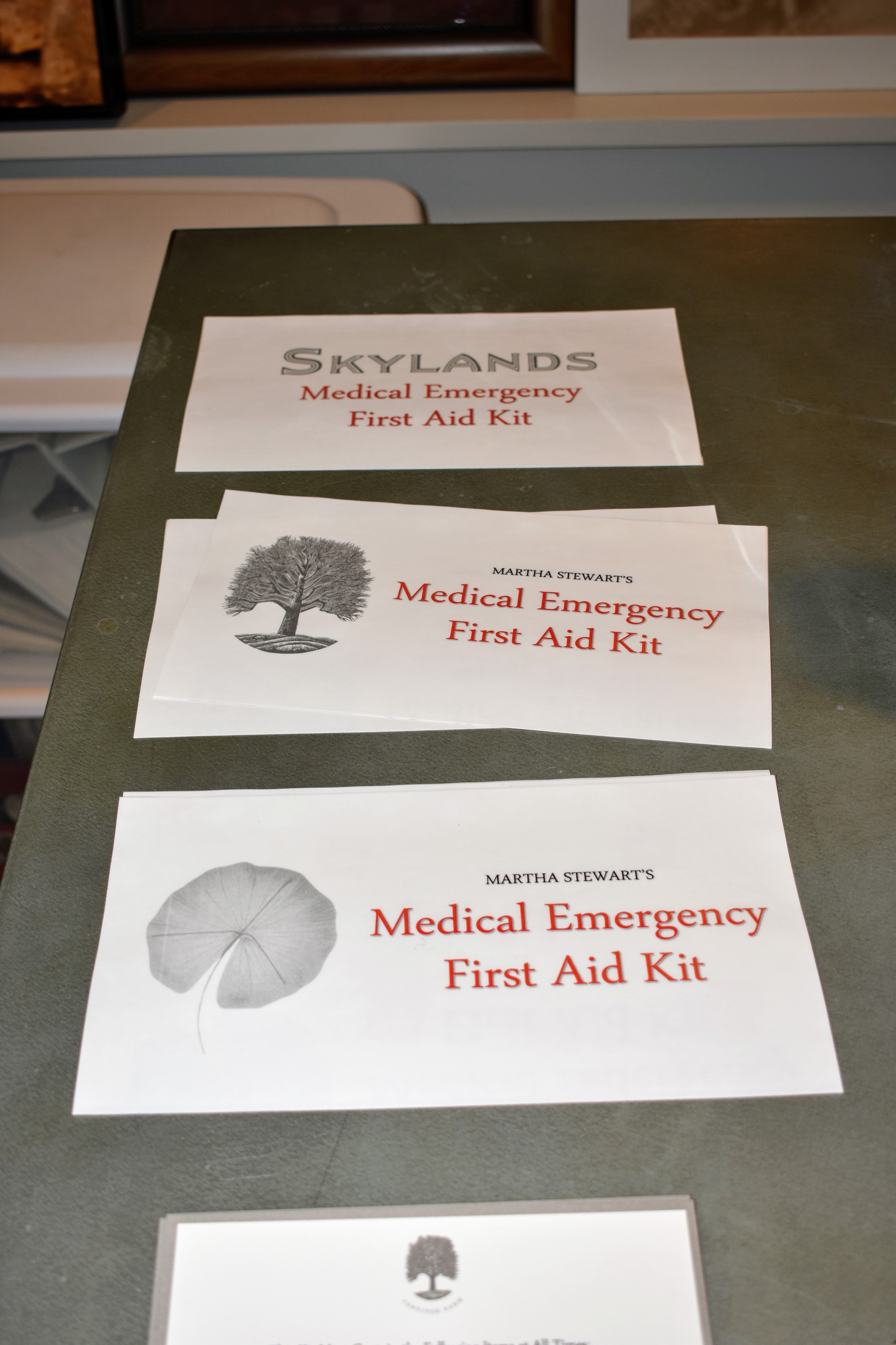 Create A Medicine Organizer & First Aid Kit Center In Your Home