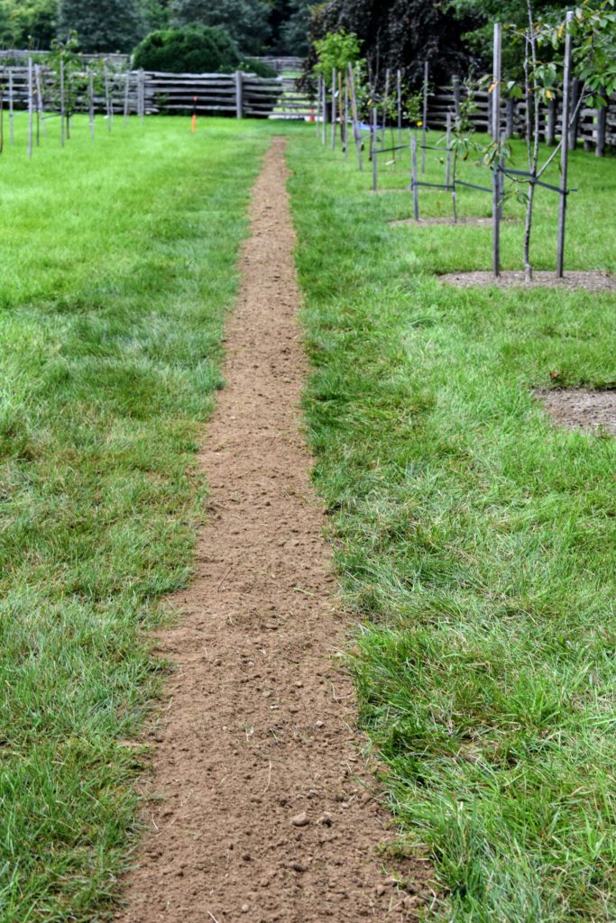 Installing a Curtain Drain The Martha Stewart Blog
