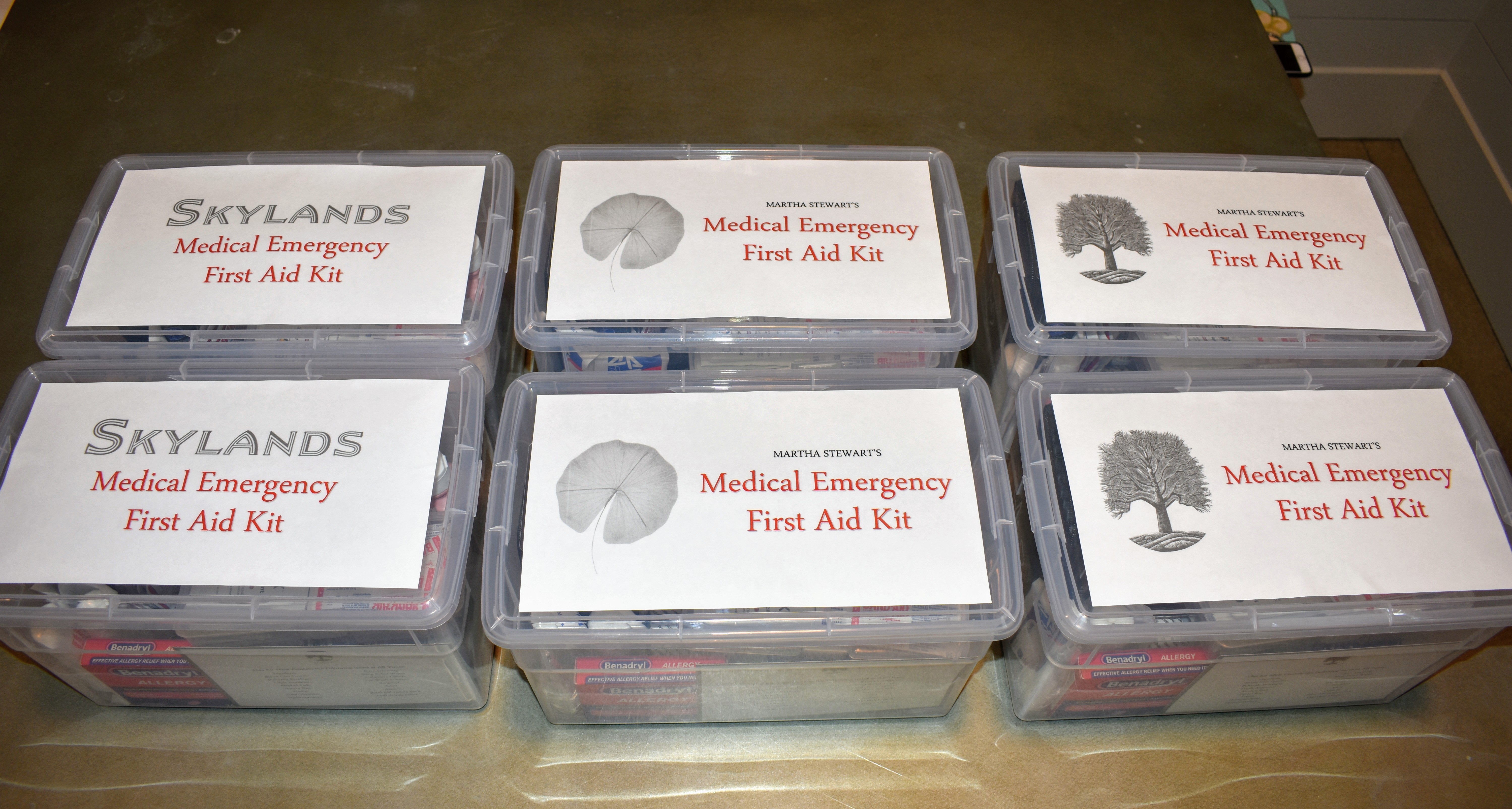 Organizing a First Aid and Medicine Kit - Smallish Home