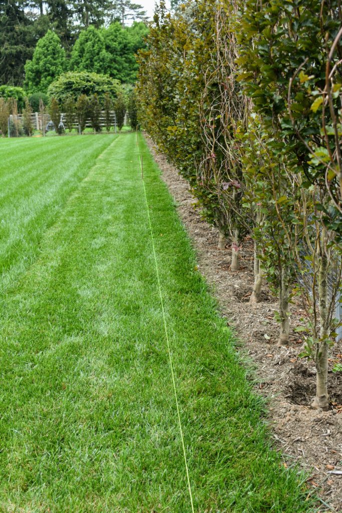 Installing a Curtain Drain The Martha Stewart Blog