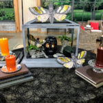 Later in the day, I shared my new Flameless Wax Skull Figural Candles – they look great in any room, and on any table in your home alone or with my pillars. Here they are in my Terrarium also available on QVC.
