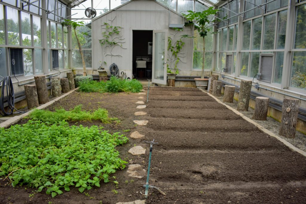 Preparing And Planting My Vegetable Greenhouse - The Martha Stewart Blog